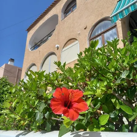 Duplex With A Large Sunny Terrace 200 M From The Sea La Mata (Torrevieja)